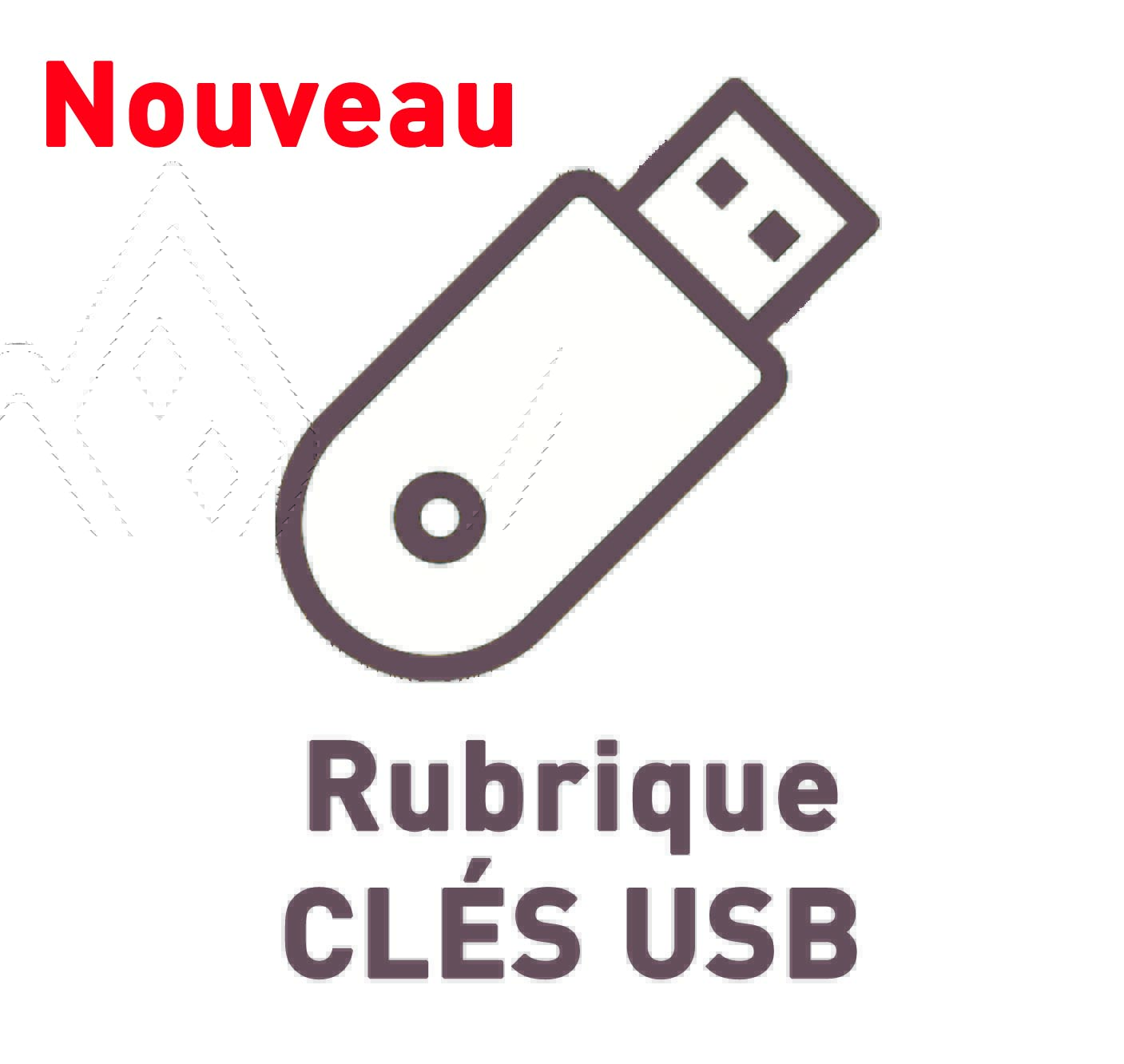 Rubrique CLES USB